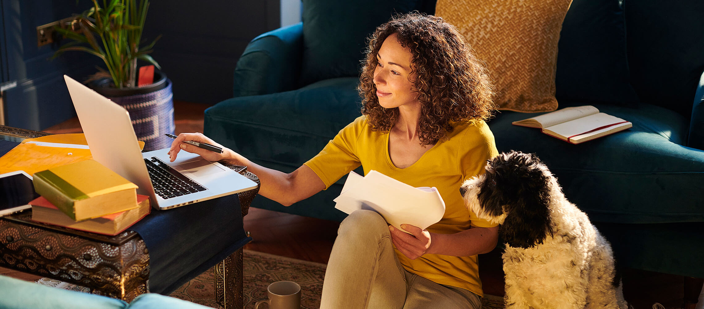 woman with dog looking at laptop